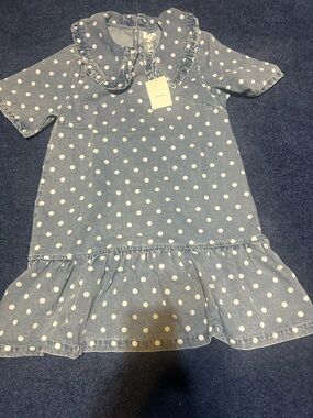 NWT Women’s Blue Polka Dot Ruffle Collar Dress
